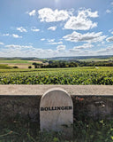 Bollinger Ay vineyard