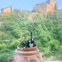 Dom Perignon 2004